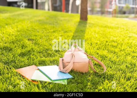 Rucksack und Bücher liegen auf dem Gras. Stockfoto