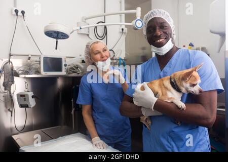 Mann Tierarzt mit einem kleinen Hund in einer Tierklinik Stockfoto