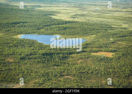 Eyriel Blick auf Kiruna Wildnis aus dem Hubschrauber mit kleinem See oder Teich in der Mitte der Sümpfe und Bäume im hohen Norden von Schwedisch Lappland. Stockfoto