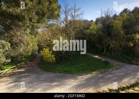 Landschaftsbild eines Weges in einem andalusischen Park Stockfoto