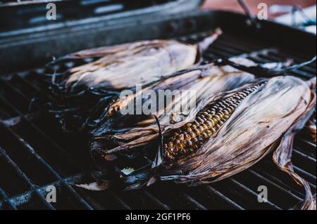 Leicht verkohlter Mais auf dem Maiskolben mit Schale auf einem Grillrost Stockfoto