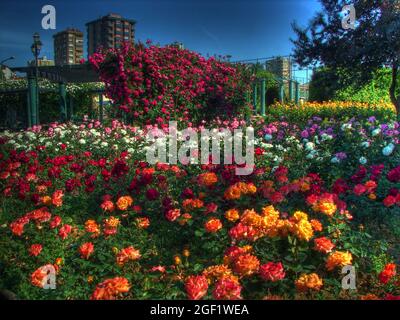 ISTANBUL LANDSCHAFTEN BLUMEN Stockfoto