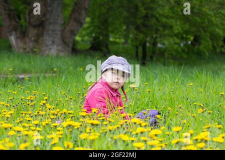 Kaukasisches Kind von vier Jahren, das auf einer grünen Wiese mit den gelben Elendelionen sitzt Stockfoto