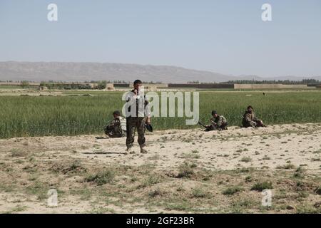 Soldaten der afghanischen Nationalarmee sorgen während einer Mission zur Routenbereinigung in der Nähe der Operationsbasis Super, Provinz Paktika, Afghanistan, 1. Juni 2012 für Sicherheit. (USA Armee-Foto von SPC. David J. Barnes/Freigegeben) Stockfoto