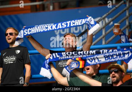 Bochum, Deutschland. August 2021. BO-Fans im Stadion, halten ihre Tücher hoch â‚Ã „Ã» Schmuckkachtel â‚Ã „Ã», Fußball 1. Bundesliga, 2. Spieltag, VfL Bochum (BO) - FSV FSV FSV Mainz 05 (MZ) 2: 0, am 08/21/2021 in Bochum/Deutschland. Die DFL-Bestimmungen von #verbieten die Verwendung von Fotos als Bildsequenzen und/oder quasi-Video # Â¬ Credit: dpa/Alamy Live News Stockfoto