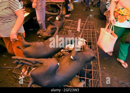 Hundefleisch auf dem Fleischmarkt in Tomohon, Nord-Sulawesi, Indonesien. Stockfoto