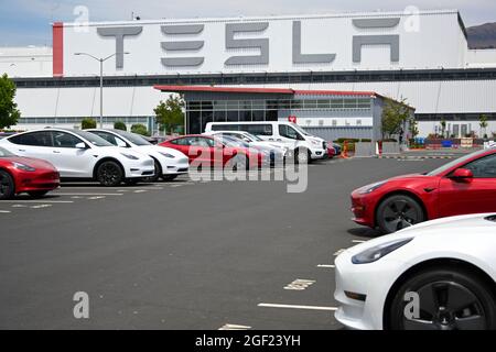 Ein Tesla Model 3 wird am Samstag, den 3. Juli 2021, in Fremont, Kalifornien, in der Tesla-Fabrik und in der Firmenzentrale gesehen. (Dylan Stewart/Image of Sport) Stockfoto