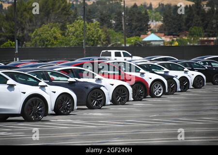 Tesla-Fahrzeuge, die am Samstag, 3. Juli 2021, in Fremont, Kalifornien, in der Tesla-Fabrik und in der Firmenzentrale gesehen wurden (Dylan Stewart/Image of Sport) Stockfoto