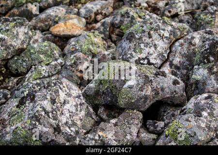 Nahaufnahme von mit Moosen und Flechten bedeckten Steinen auf dem Kiilopää-Hügel, Nordfinnland, Europa Stockfoto