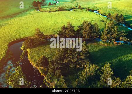 Luftaufnahme eines Bergbaches, der sich durch eine wunderschöne grasbewachsene Landschaft auf Zlatibor, Serbien schlängelt - Drohnenfotografie Stockfoto