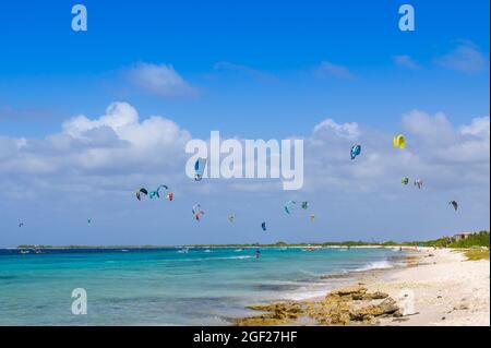 Kitesurfen am Strand, Bonaire, niederländische Karibik. Stockfoto