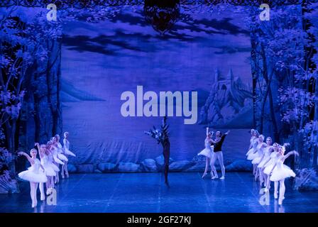 Aufführung des Schwanensee in einem Theater in Sankt Petersburg, Russland, mit Corps de Ballet und Hauptleidentänzen Stockfoto