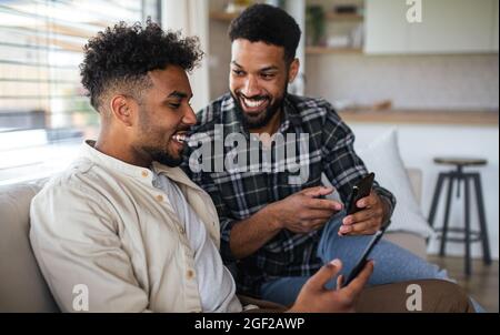 Junge Studentenbrüder in der Küche zuhause, mit dem Smartphone. Stockfoto