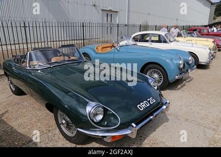 Jaguar E-Type (1968), Jaguar XK120 (1954) und Jaguar Mk2, Summer Classic Gathering, Brooklands Museum, Weybridge, Surrey, England, Großbritannien, Europa Stockfoto