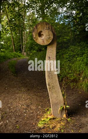 UK Wales, Clwyd, Llangollen, Berwyn, Unfurling Farn Llantysilio Green, Marker für Pfad und Picknickbereich Stockfoto