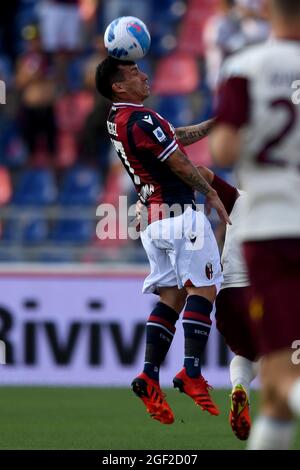 Gary Medel (Bologna) Während der italienischen Serie A Spiel zwischen Bologna 3-2 Salernitana im Renato Dall Ara Stadium am 22. August 2021 in Bologna, Italien. (Foto von Maurizio Borsari/AFLO) Stockfoto