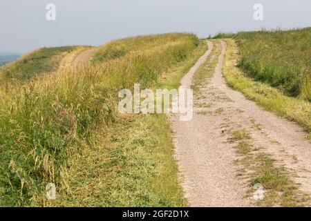 Weg auf dem Deusenberg-Hügel in Dortmund Stockfoto