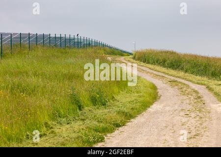 Weg auf dem Deusenberg-Hügel in Dortmund Stockfoto