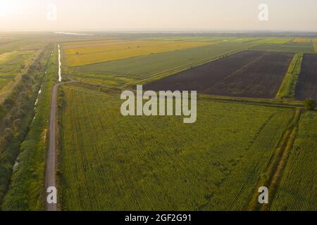 Drohne fliegt über Ackerland. Stockfoto