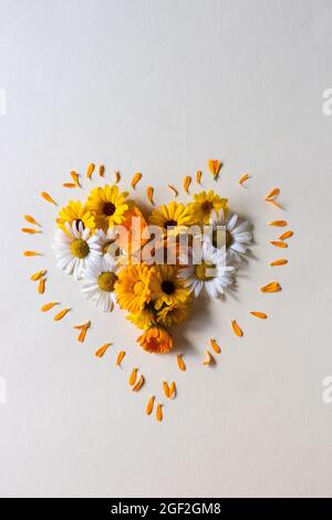 Blühend geformtes Herz aus der Nähe. Sommer bunte Gänseblümchen Blumen. Stockfoto