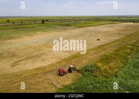 Traktor zur Herstellung von Strohballen auf geerntetem Weizenfeld. Luftaufnahme Stockfoto