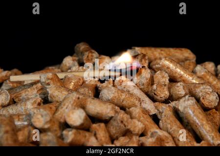 Brennender Streichholz auf Pellets Stockfoto
