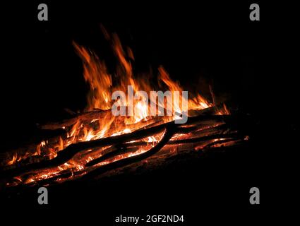 Lagerfeuer in der Nacht, lodernde Flammen Stockfoto