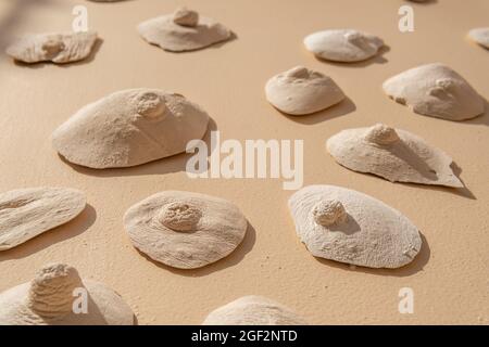 Texturen von künstlichen Schalen auf einer glatten Betonoberfläche. Bild von künstlichen Wasserelementen Stockfoto