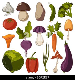 Icon Set aus rohem Gemüse und Pilzen im Herbst in flachem Stil, isoliert auf weißem Hintergrund. Stock Vektor