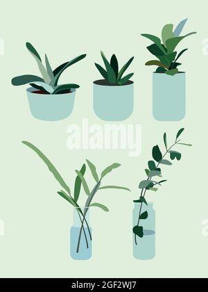 Indoor-und Outdoor-Landschaft Garten Topfpflanzen Vektorbild. Flaches Vektordesign isoliert auf grünem Hintergrund. Bild für Postkarten, Banner, Anzeigen... Stock Vektor