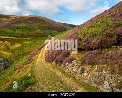 Langden Valley, Forest of Bowland UK, Wetter Nachrichten. 23. August 2021. Ein warmer und sonniger Start heute, mit Patches der Wolke beginnt zu bauen. Copyright Credit: gary telford/Alamy Live News Stockfoto