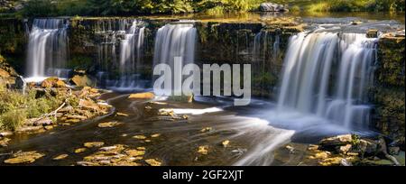 Eine idyllische Flusslandschaft im Wald mit einem Wasserfall im Herbst Stockfoto