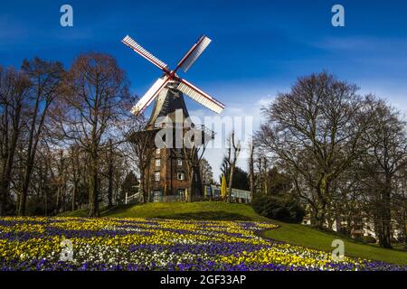 Alte Windmühle in Bremen Stockfoto