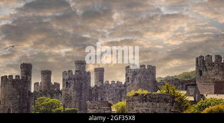 Conwy Castle ist eine mittelalterliche Burg gebaut von Edward ich im späten 13. Jahrhundert. Es ist Teil einer ummauerten Stadt Conwy und nimmt einen strategischen Punkt o Stockfoto