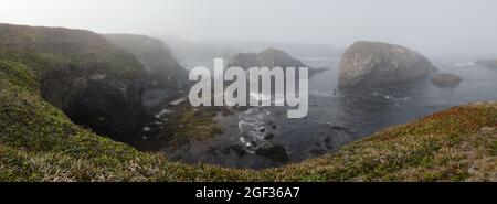 Kaltes Wasser aus dem Pazifischen Ozean wäscht sich gegen die zerklüftete und malerische Küste Kaliforniens in Mendocino, Nordkalifornien. Stockfoto