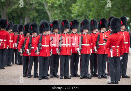 Wellington Barracks, London, Großbritannien. 23. August 2021. Vorbereitungen in den Wellington Barracks für die feierliche Wachablösung mit Musik im Buckingham Palace nach der längsten Pause seit dem 2. Weltkrieg aufgrund der Einschränkungen des Coronavirus im März 2020. Die 3 Kompanie des 1. Bataillons Coldstream Guards wird inspiziert, bevor sie diese erste volle zeremonielle Aufgabe in Begleitung der Band der Coldstream Guards übernimmt. Quelle: Malcolm Park/Alamy Live News Stockfoto