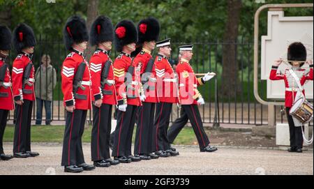 Wellington Barracks, London, Großbritannien. 23. August 2021. Vorbereitungen in den Wellington Barracks für die feierliche Wachablösung mit Musik im Buckingham Palace nach der längsten Pause seit dem 2. Weltkrieg aufgrund der Einschränkungen des Coronavirus im März 2020. Die 3 Kompanie des 1. Bataillons Coldstream Guards wird inspiziert, bevor sie diese erste volle zeremonielle Aufgabe in Begleitung der Band der Coldstream Guards übernimmt. Quelle: Malcolm Park/Alamy Live News Stockfoto