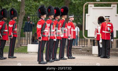 Wellington Barracks, London, Großbritannien. 23. August 2021. Vorbereitungen in den Wellington Barracks für die feierliche Wachablösung mit Musik im Buckingham Palace nach der längsten Pause seit dem 2. Weltkrieg aufgrund der Einschränkungen des Coronavirus im März 2020. Die 3 Kompanie des 1. Bataillons Coldstream Guards wird inspiziert, bevor sie diese erste volle zeremonielle Aufgabe in Begleitung der Band der Coldstream Guards übernimmt. Quelle: Malcolm Park/Alamy Live News Stockfoto