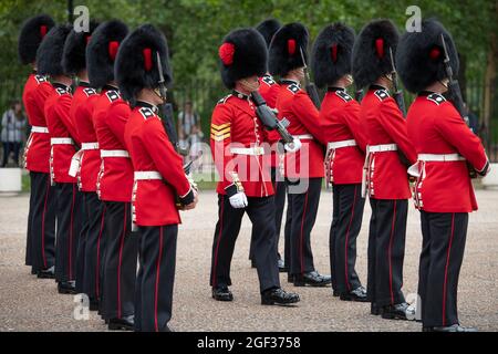 Wellington Barracks, London, Großbritannien. 23. August 2021. Vorbereitungen in den Wellington Barracks für die feierliche Wachablösung mit Musik im Buckingham Palace nach der längsten Pause seit dem 2. Weltkrieg aufgrund der Einschränkungen des Coronavirus im März 2020. Die 3 Kompanie des 1. Bataillons Coldstream Guards wird inspiziert, bevor sie diese erste volle zeremonielle Aufgabe in Begleitung der Band der Coldstream Guards übernimmt. Quelle: Malcolm Park/Alamy Live News Stockfoto