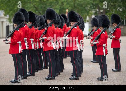 Wellington Barracks, London, Großbritannien. 23. August 2021. Vorbereitungen in den Wellington Barracks für die feierliche Wachablösung mit Musik im Buckingham Palace nach der längsten Pause seit dem 2. Weltkrieg aufgrund der Einschränkungen des Coronavirus im März 2020. Die 3 Kompanie des 1. Bataillons Coldstream Guards wird inspiziert, bevor sie diese erste volle zeremonielle Aufgabe in Begleitung der Band der Coldstream Guards übernimmt. Quelle: Malcolm Park/Alamy Live News Stockfoto