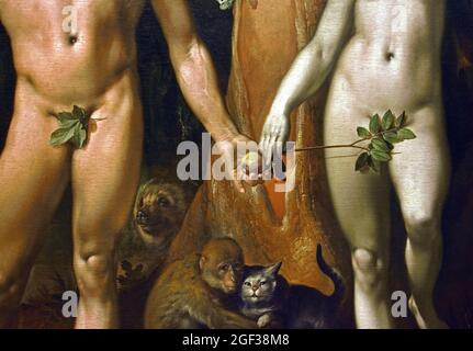 Der Fall des Menschen (Adam und Eva) Cornelis Cornelisz van Haarlem 1562-1638 Niederländisch Niederlande Stockfoto