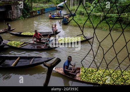 Non Exclusive: BARISHAL, BANGLADESH, AUGUST 20: Luftaufnahme der Verkäufer kommen am Bhimruli Floating Market an, mit Guavas, die auf ihrem Boot transportiert werden Stockfoto