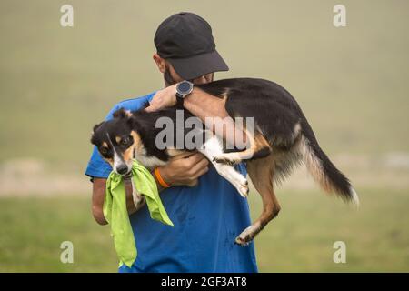 Italienische Disc Dog Meisterschaft. In diesem Sport treten Hunde und ihre menschlichen fliegenden Scheibenwerfer in Wettkämpfen wie Distanzfang und Freestyle an. Stockfoto