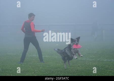 Italienische Disc Dog Meisterschaft. In diesem Sport treten Hunde und ihre menschlichen fliegenden Scheibenwerfer in Wettkämpfen wie Distanzfang und Freestyle an. Stockfoto