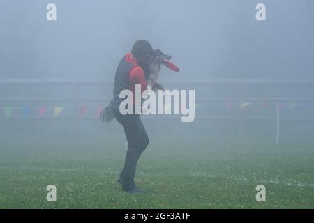 Italienische Disc Dog Meisterschaft. In diesem Sport treten Hunde und ihre menschlichen fliegenden Scheibenwerfer in Wettkämpfen wie Distanzfang und Freestyle an. Stockfoto