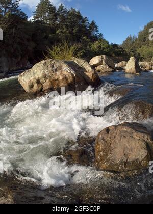 Ohinemuri River in der Karangahake Gorge, Neuseeland Stockfoto