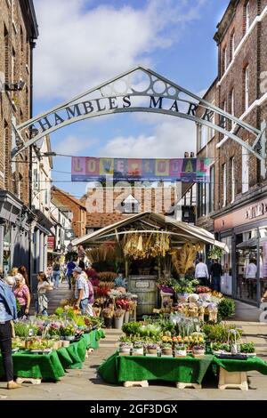 Daily Shambles Market mit Blumenschmuck zum Verkauf und Eisenschild über dem Eingang, York, North Yorkshire, England, Vereinigtes Königreich. Stockfoto