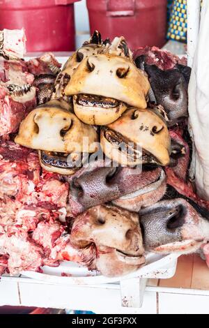 CUZCO, PERU - 23. MAI 2015: Kuhnasen am Metzgerstand auf dem Mercado San Pedro Markt in Cuzco, Peru. Stockfoto