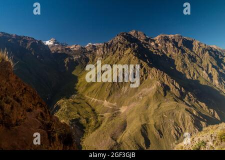 Steile Wände des Colca Canyon, Peru Stockfoto