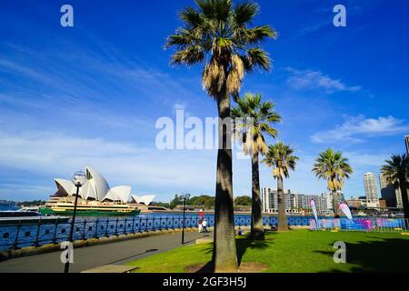 SYDNEY, AUSTRALIEN - 04. Aug 2018: Das wunderschöne Stadtbild von Sydney unter dem trüben blauen Himmel in Australien Stockfoto